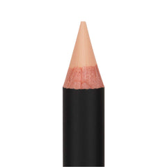 Anastasia Beverly Hills close-up of the wider tip demonstrating precise coverage benefit