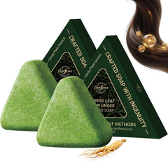 Anweina front packaging showing two green shampoo bars and travel-ready benefit