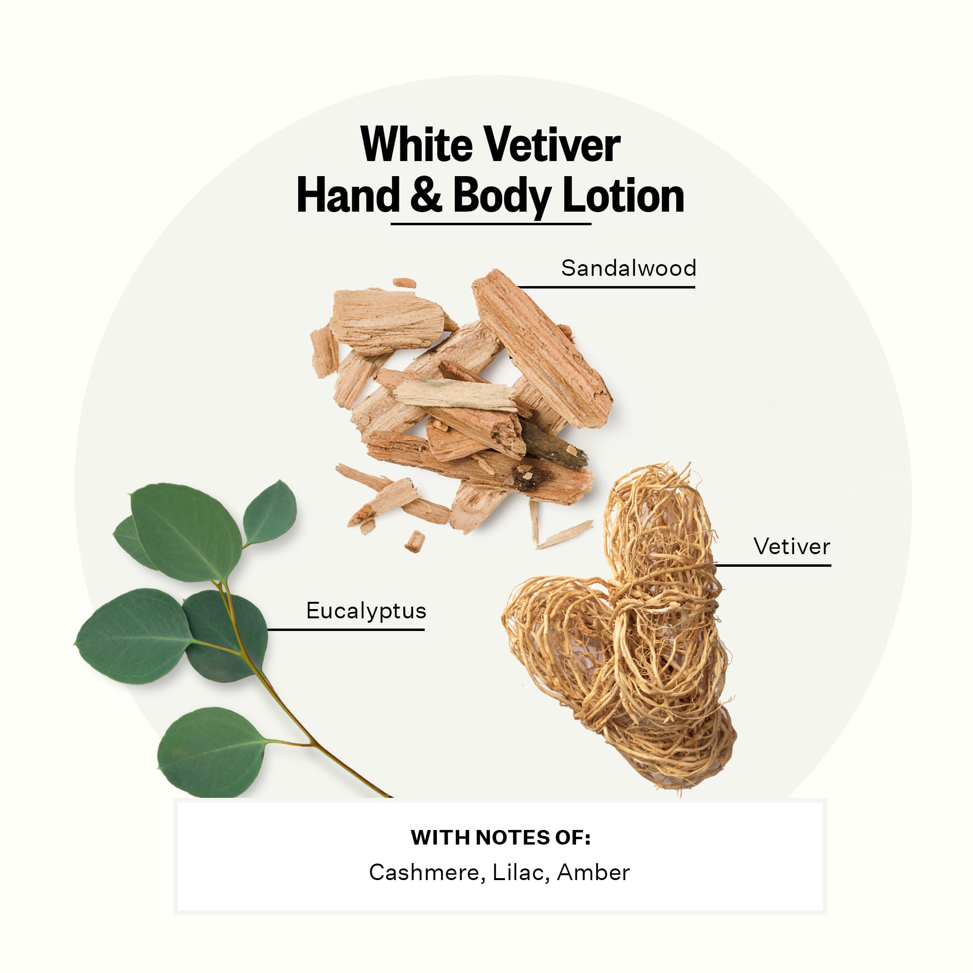 APOTHEKE White Vetiver label close-up highlighting fragrance notes and design