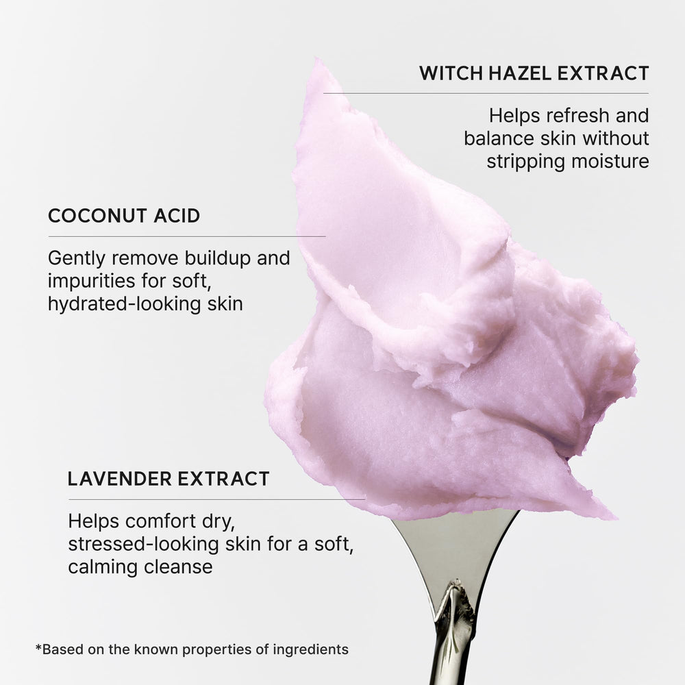 ARENCIA fresh lavender sprigs beside jar, suggests calming botanical benefit