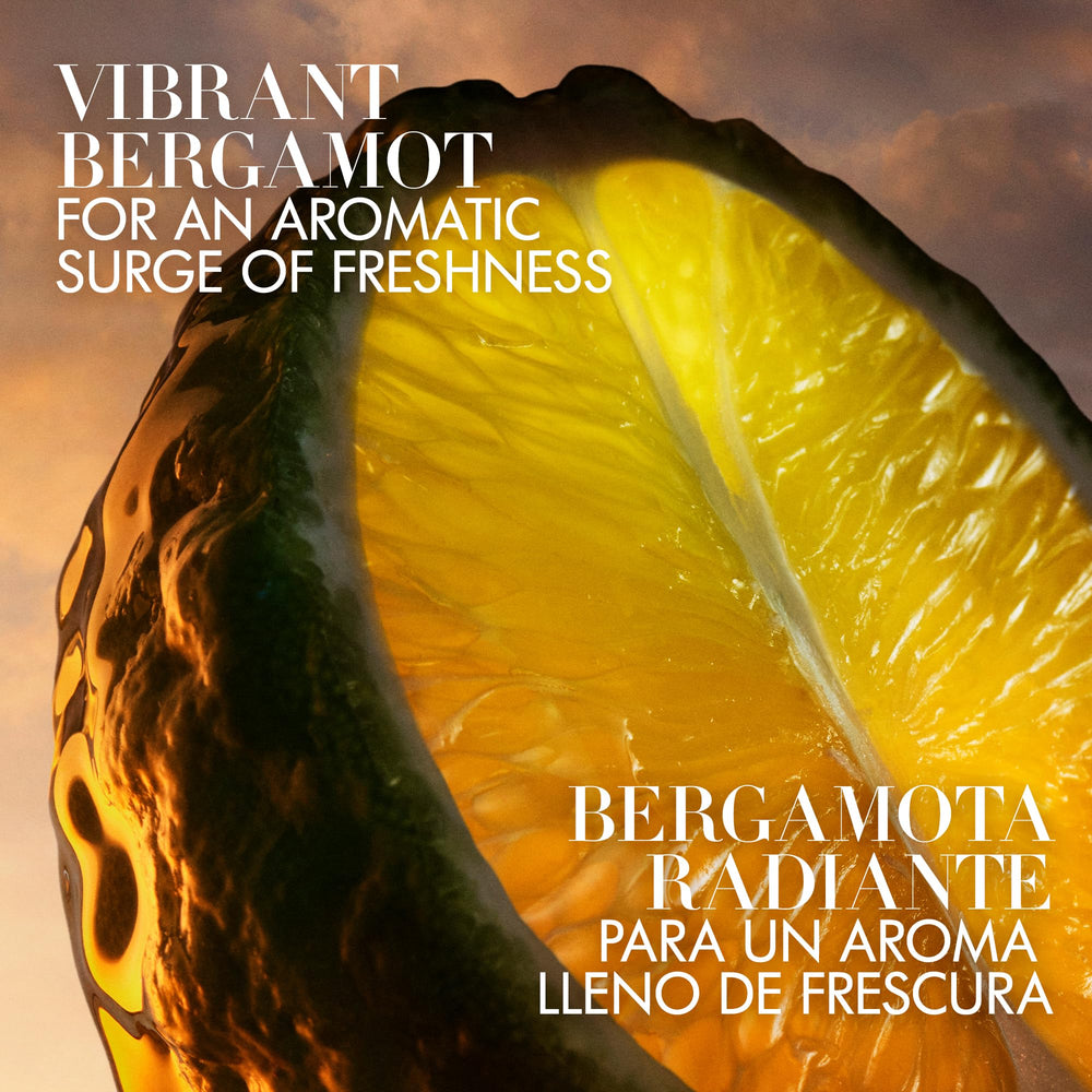 Armani Beauty boxed packaging arranged for gifting and presentable appeal
