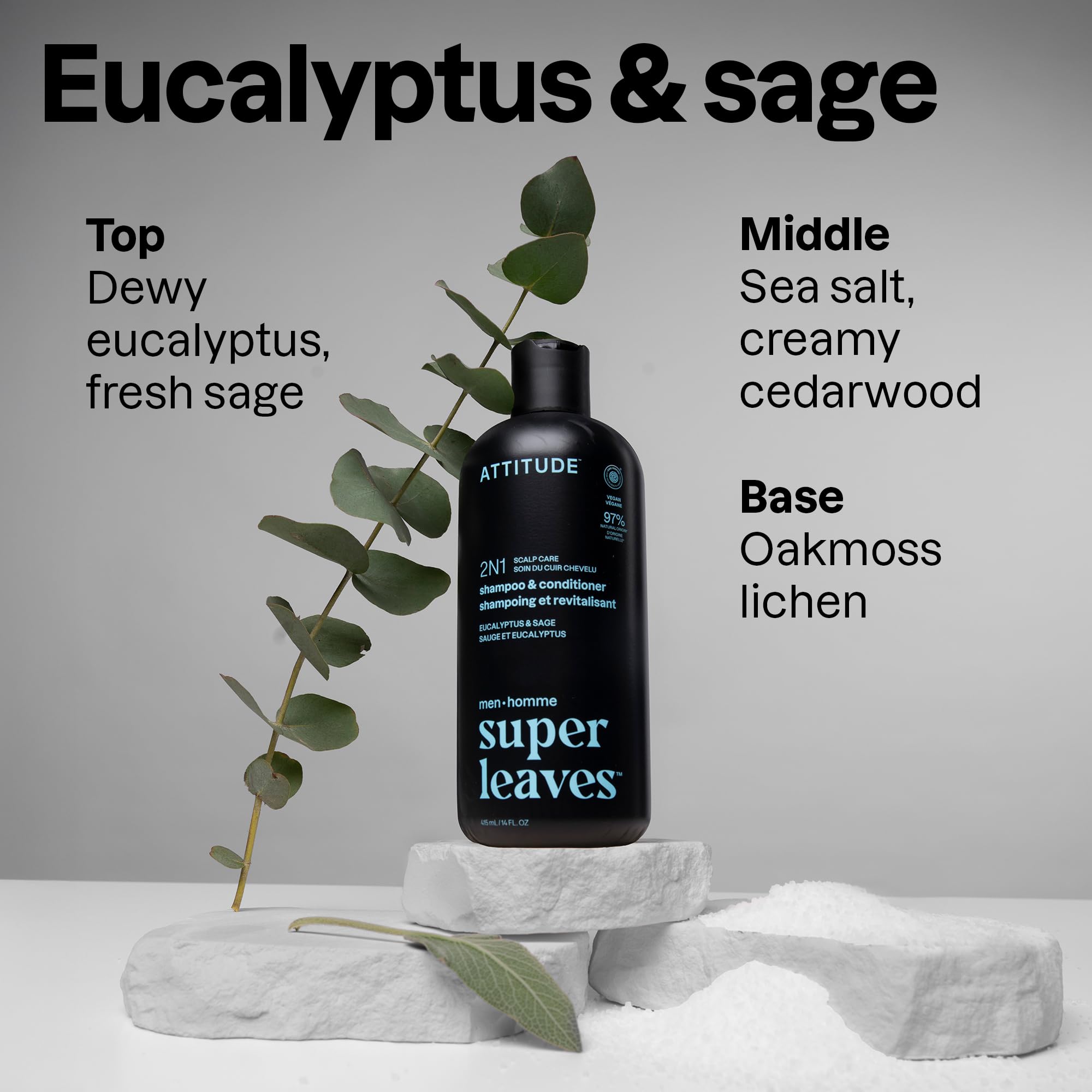 BIO SPECTRA ATTITUDE willow bark and peppermint ingredients highlighting scalp-purifying benefit
