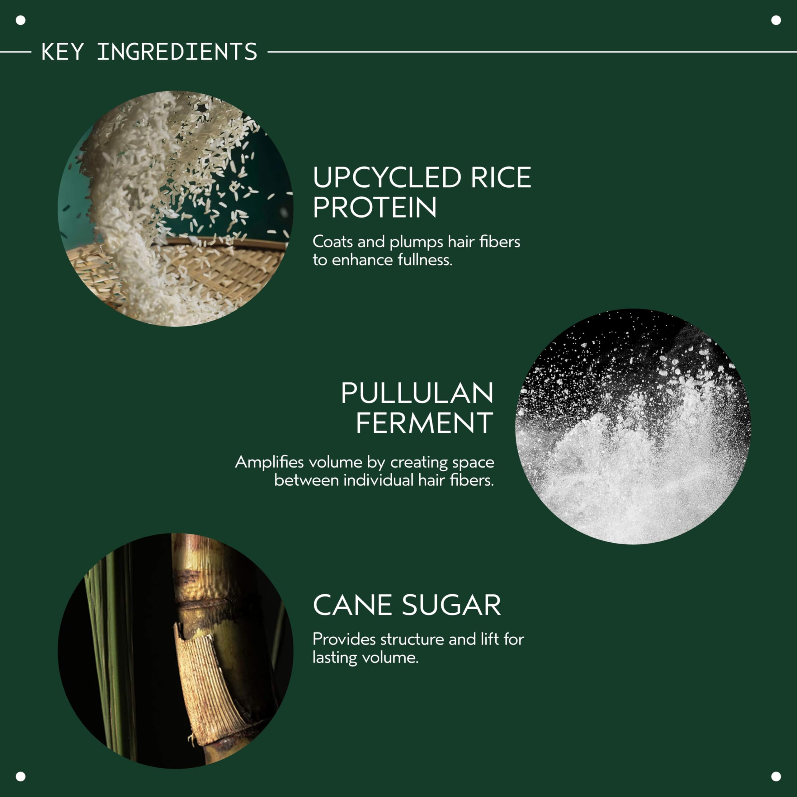 Aveda abundant blowout rice protein ingredient closeup supports fuller hair benefit