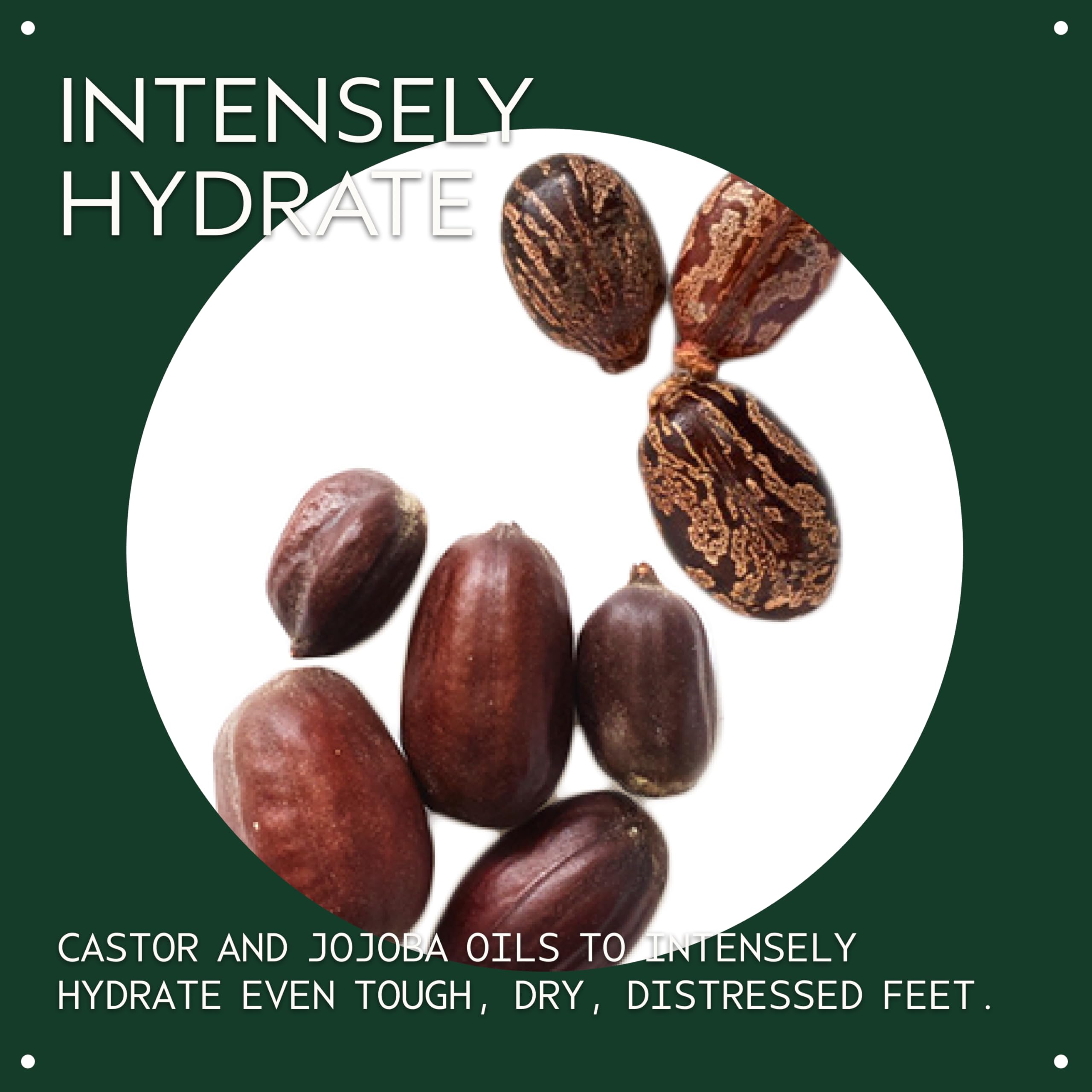 AVEDA ingredient bottles with jojoba and peppermint emphasizing natural oils