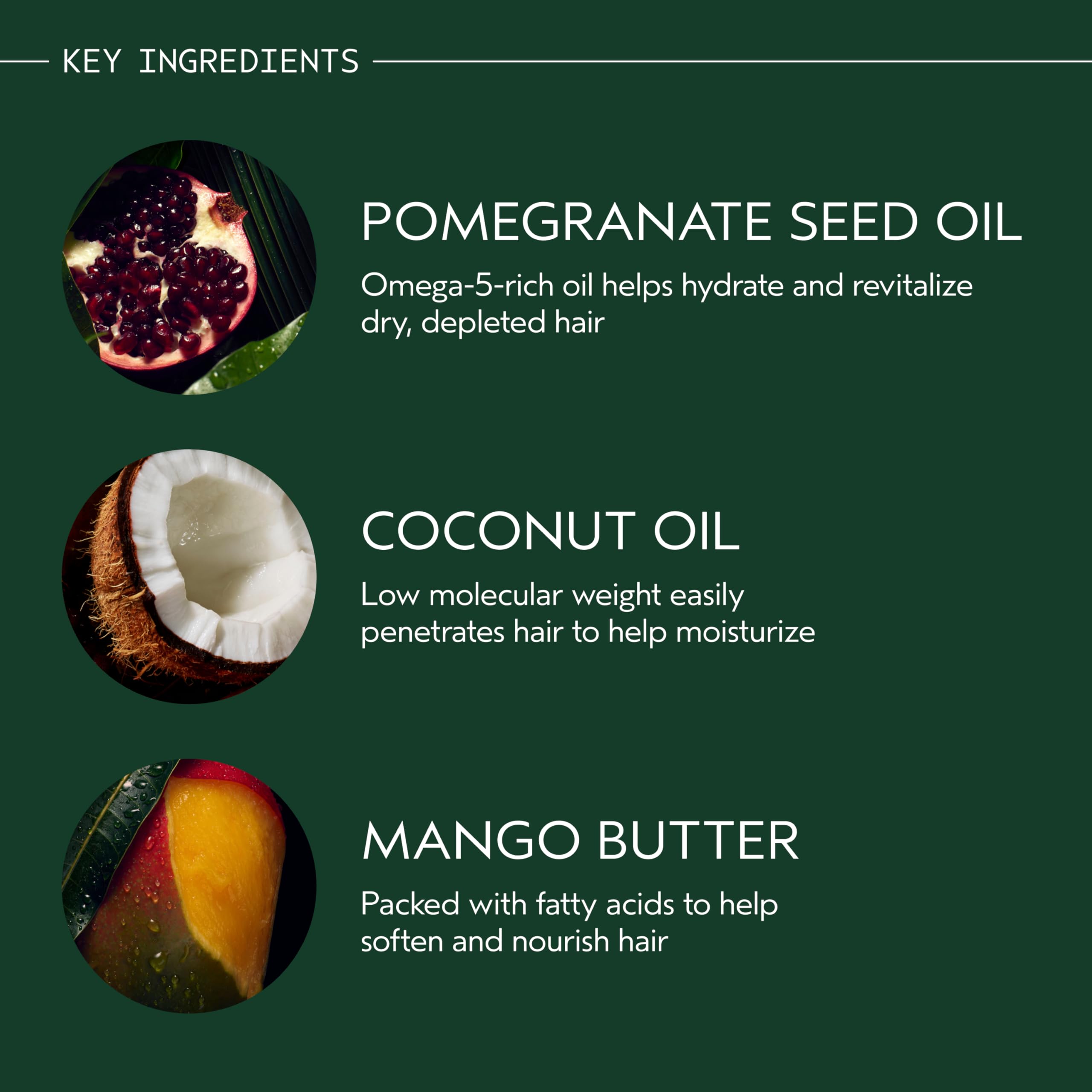 AVEDA organic pomegranate oil ingredient close-up highlighting nourishing benefit