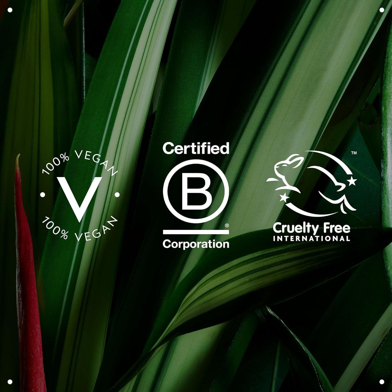 Aveda recyclable packaging close-up highlighting brand sustainability benefit