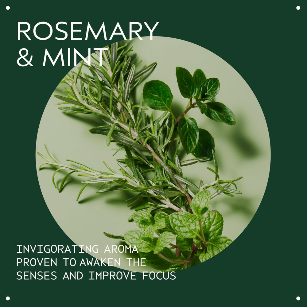 AVEDA close-up of rosemary and peppermint ingredients showcasing natural origin