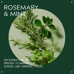 AVEDA close-up label detail highlighting certified organic rosemary ingredients