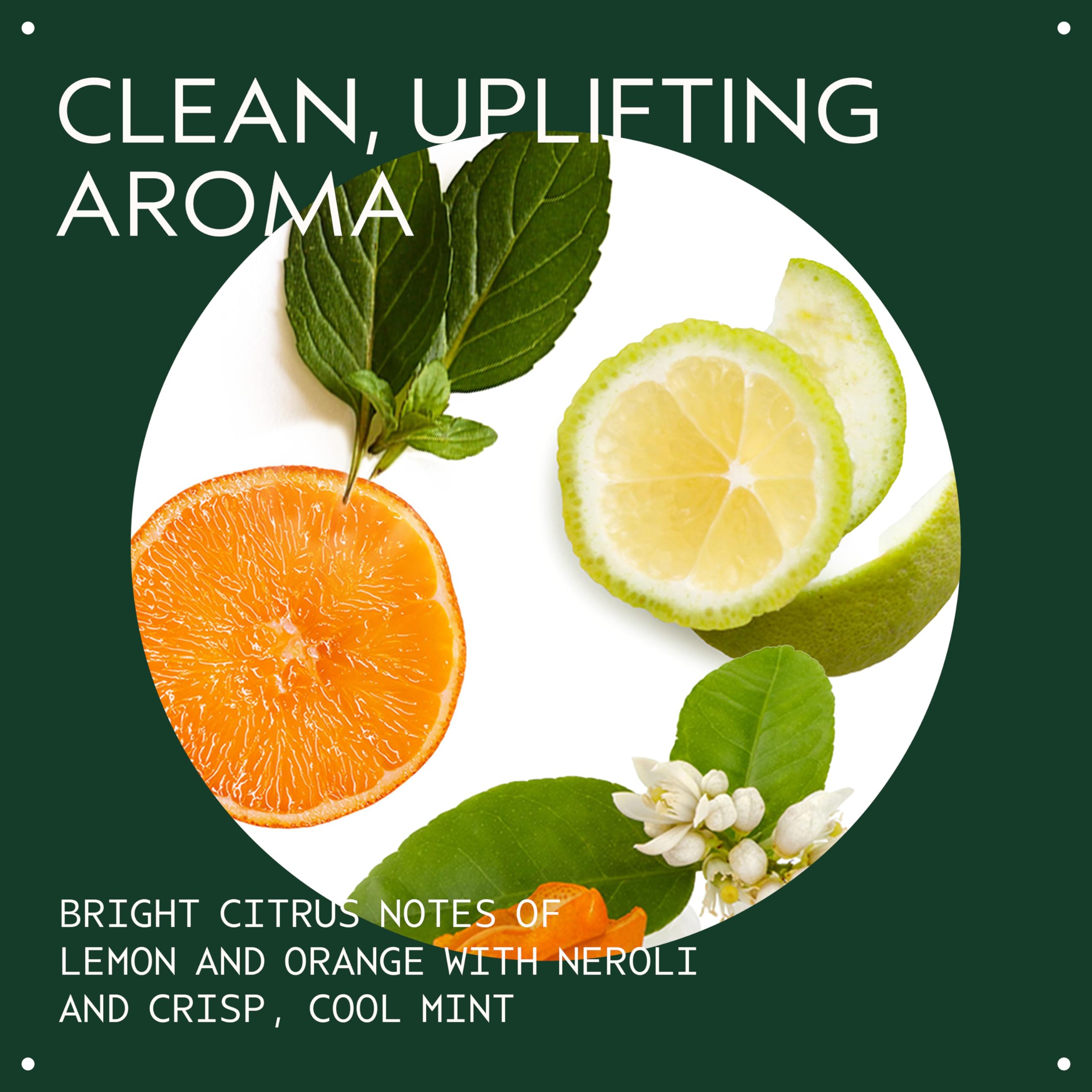 AVEDA shampoo lather close-up showing lightweight foam and gentle cleansing action