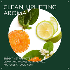 AVEDA shampoo lather close-up showing lightweight foam and gentle cleansing action