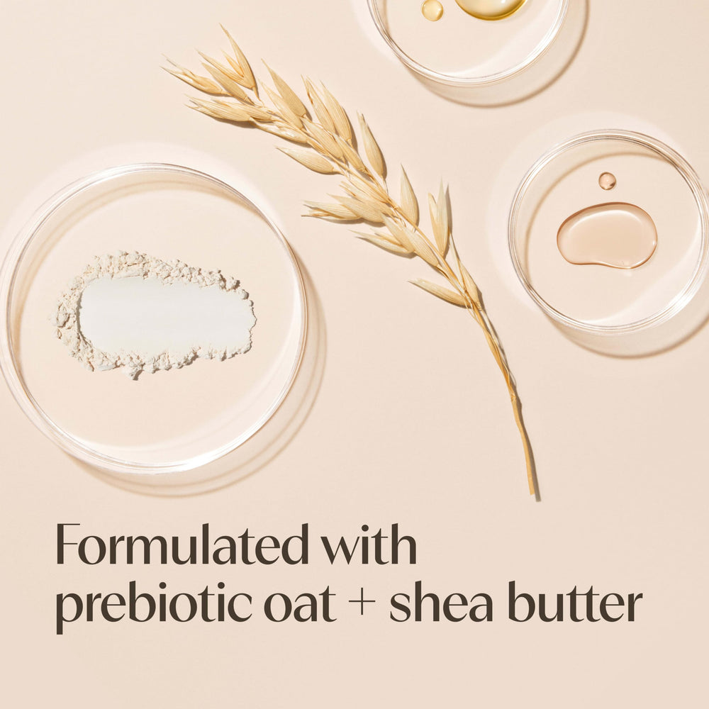 Shea butter and oats with Aveeno branding highlighting natural moisturizers