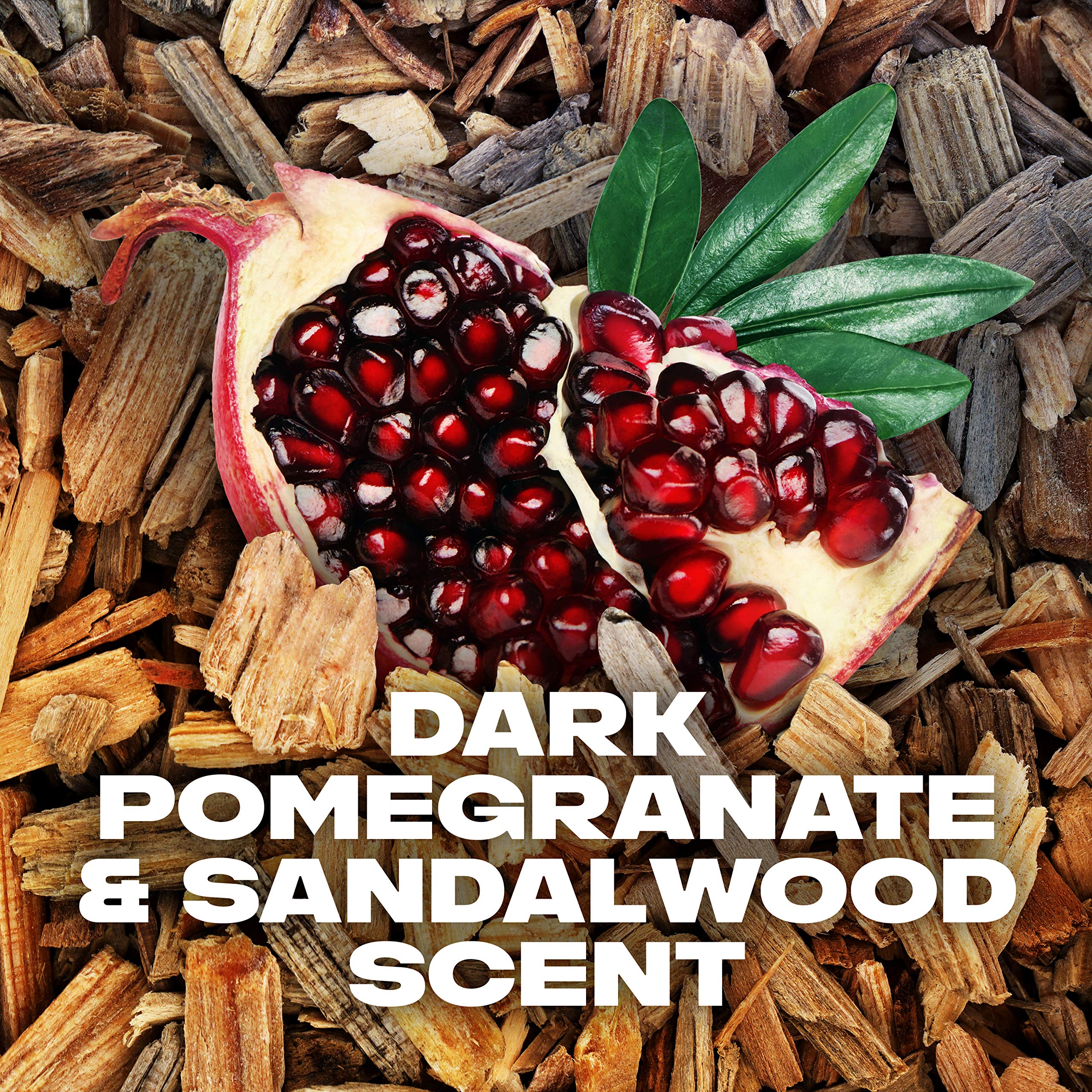 AXE Anarchy scent illustration with pomegranate and sandalwood benefit