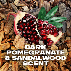AXE Anarchy scent illustration with pomegranate and sandalwood benefit