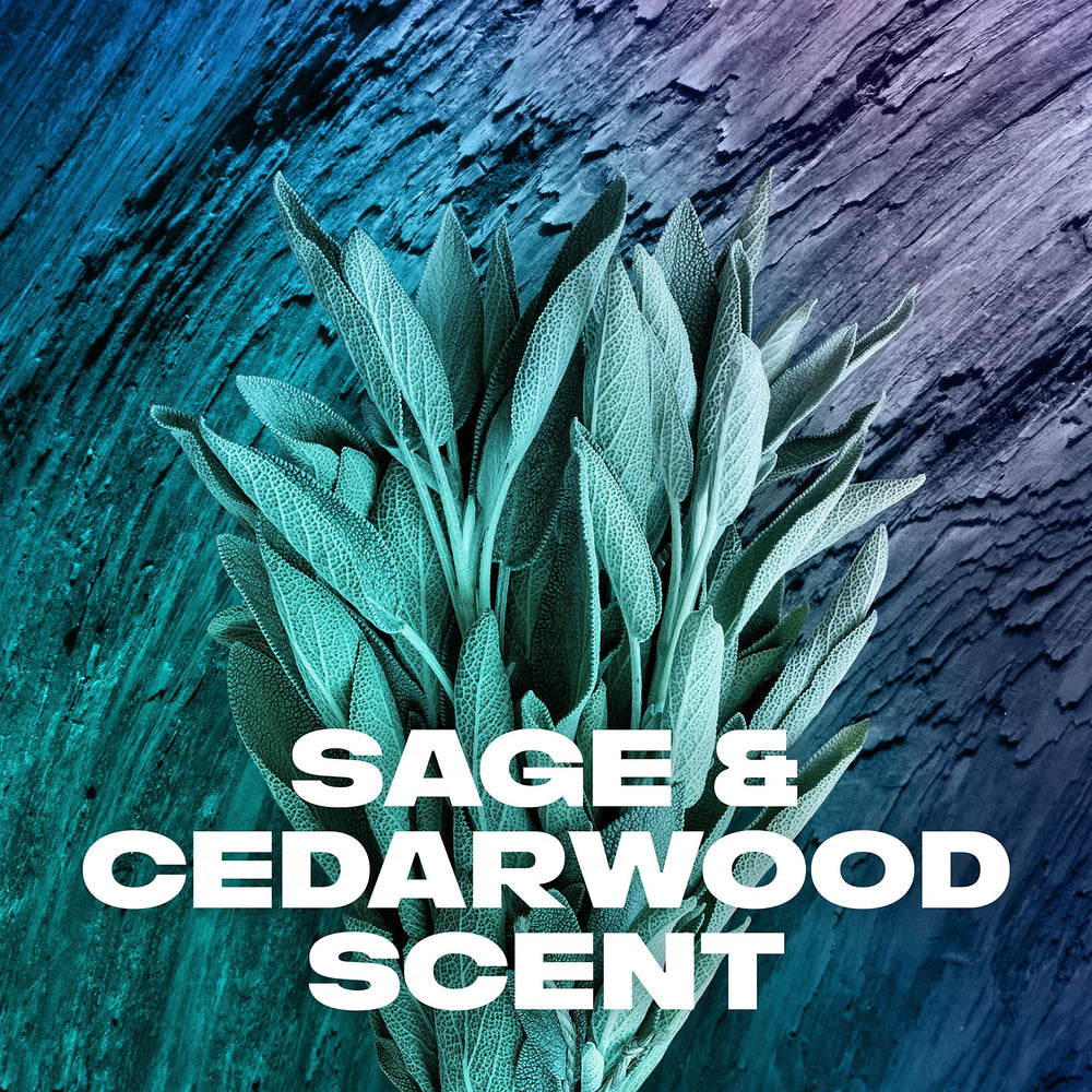 AXE Apollo scent inspiration with sage and cedarwood visuals, conveys crisp woody aroma
