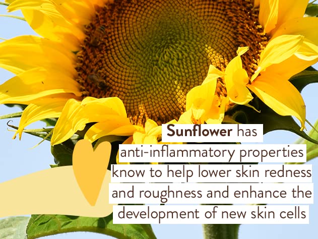 Babo Botanicals back label close-up showing ingredients and SPF information