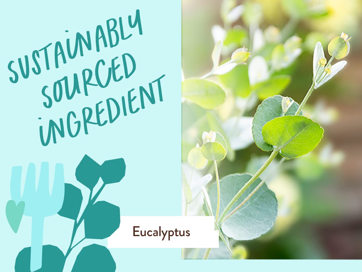 Family bath scene conveying Babo Botanicals safe-for-all-ages benefit