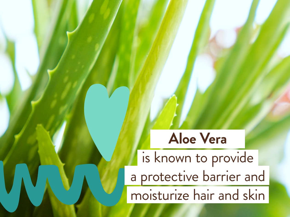 Hand lather demonstrating gentle cleansing by Babo Botanicals eucalyptus wash