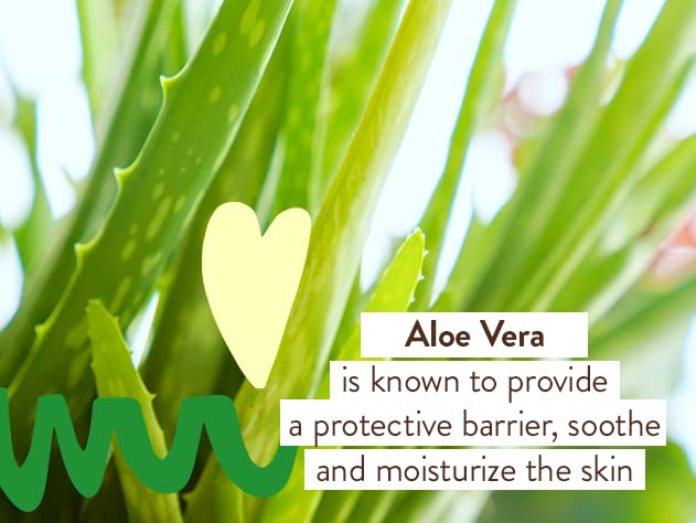 Babo Botanicals aloe and witch hazel ingredients arranged on surface