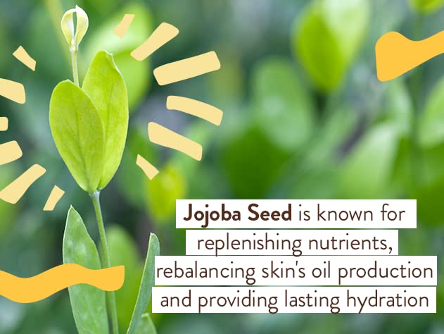 Babo Botanicals passion fruit seed oil and botanicals emphasizing nourishing ingredients