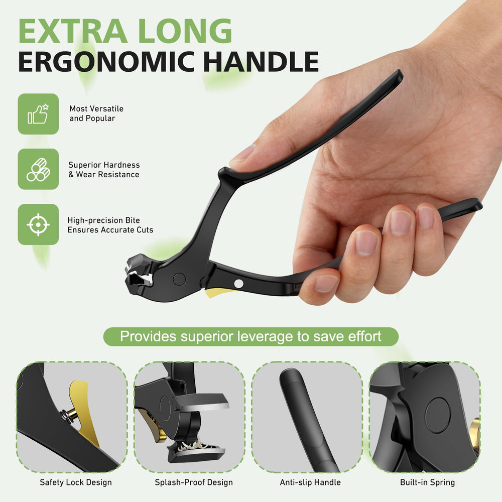 BALUCA shown trimming toenails of seated senior for safer home care