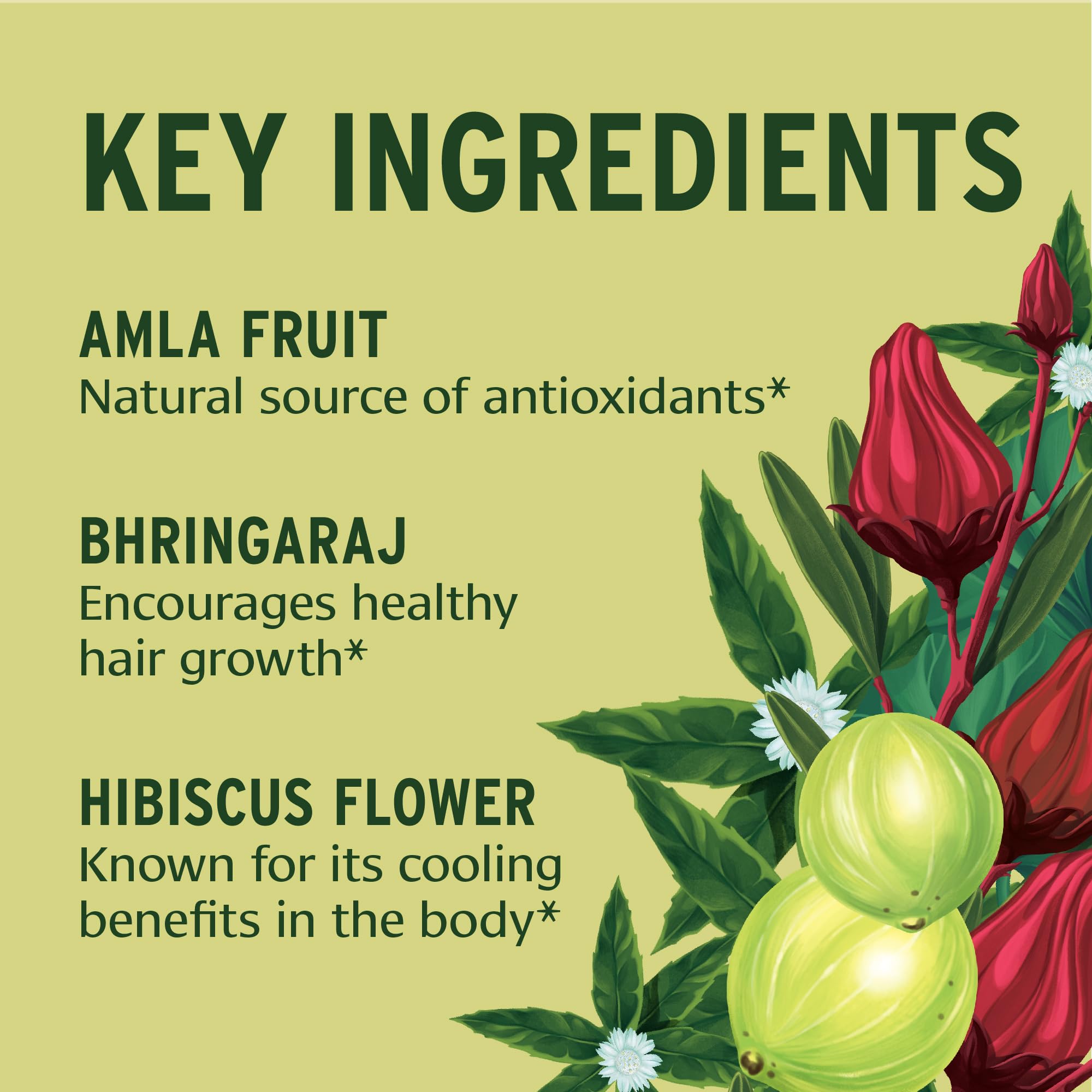 Banyan Botanicals tablets in hand to show real-world size and serving