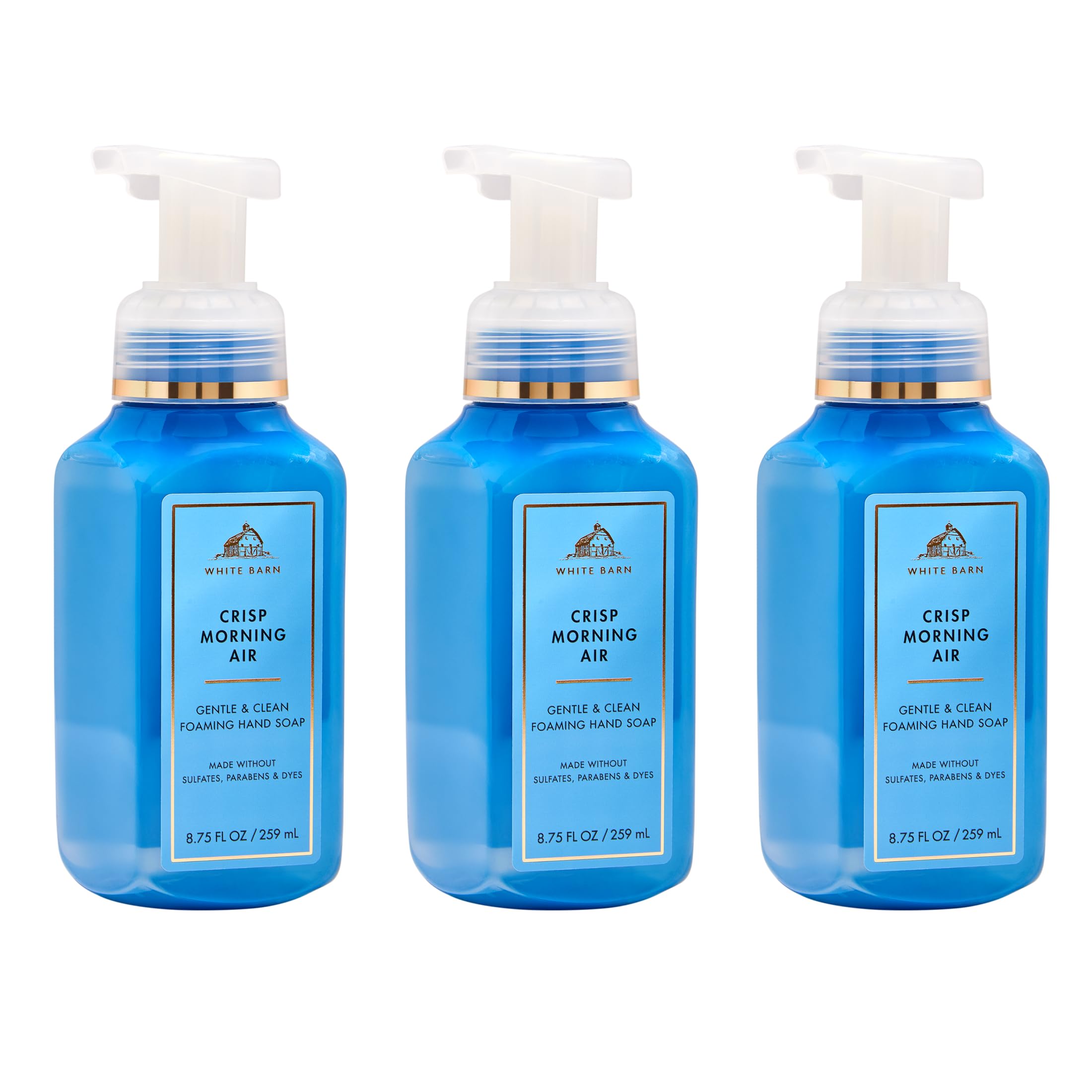 Bath & Body Works front packaging showing fresh crisp scent and clean design