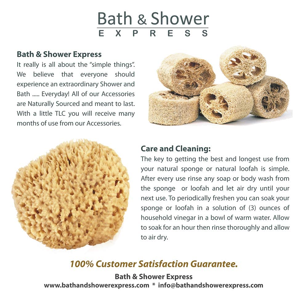 Bath & Shower Express sponge hanging to dry in bathroom, illustrates proper care to extend life