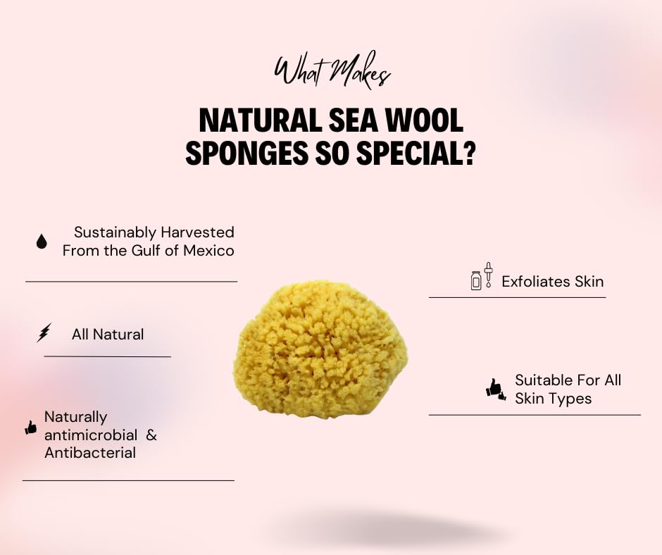 Bath & Shower Express sponge held in hand for scale, demonstrates extra-large coverage benefit