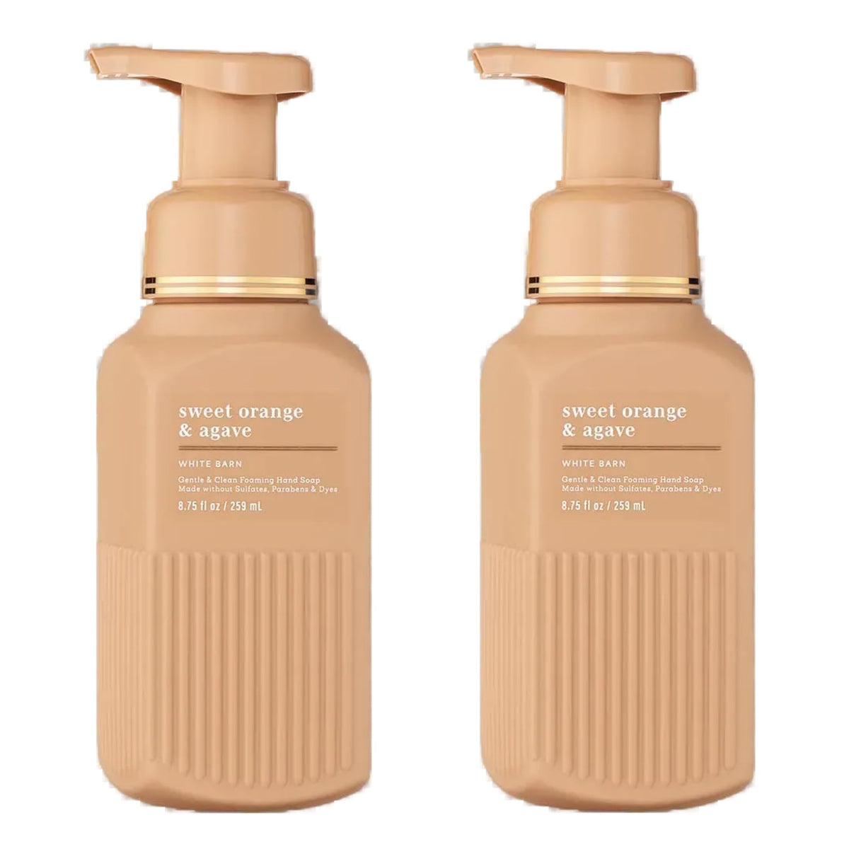 Bath & Body Works bottle front packaging showing scent and two-pack convenience