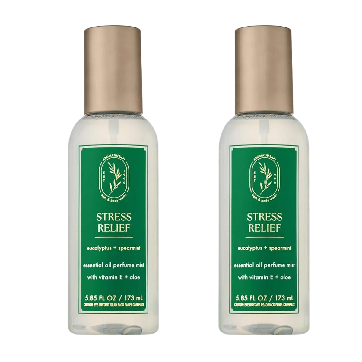 Bath & Body Works front packaging showing two 5.3 fl oz bottles for easy storage