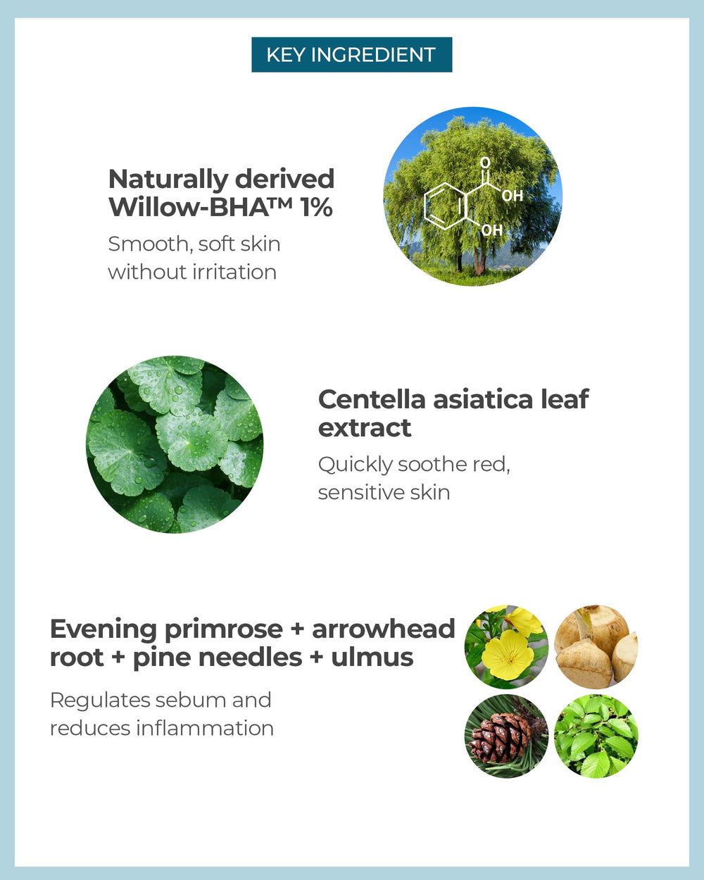 BE THE SKIN botanical cica ingredients display, communicates soothing calming support