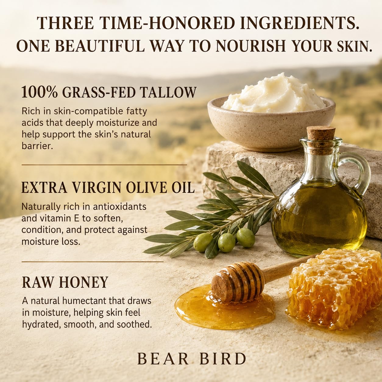 Bear Bird bottle next to common items showing 16 oz size benefit