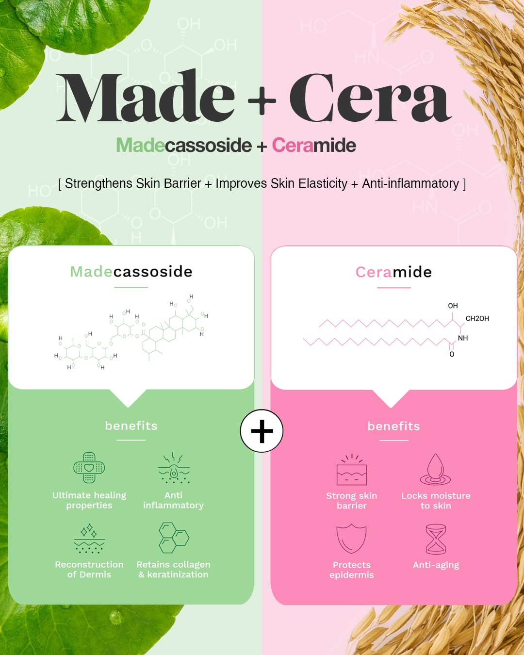 BEISIKS close-up label highlighting ingredients and ingredient transparency benefit