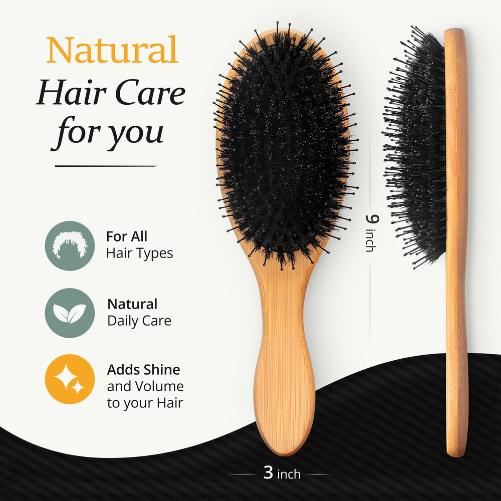 Belula brush and comb next to a ruler for accurate size reference