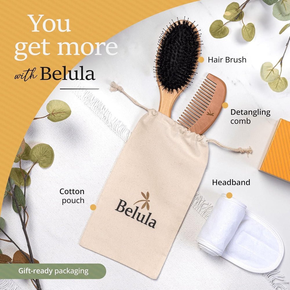 Belula brush set neatly stored in travel bag for protection and easy transport