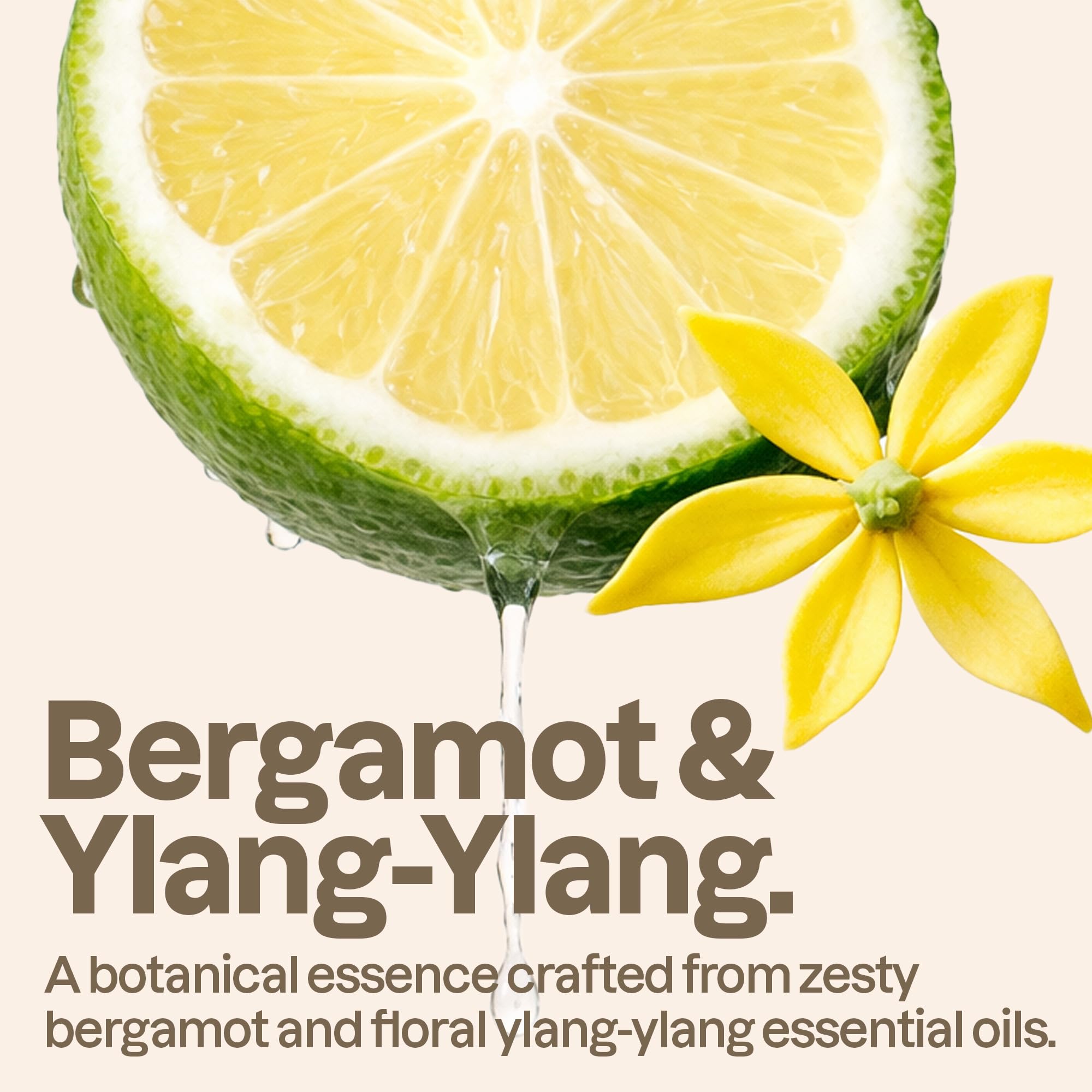 BIO SPECTRA ATTITUDE ingredient label close-up highlighting EWG-verified clean formula