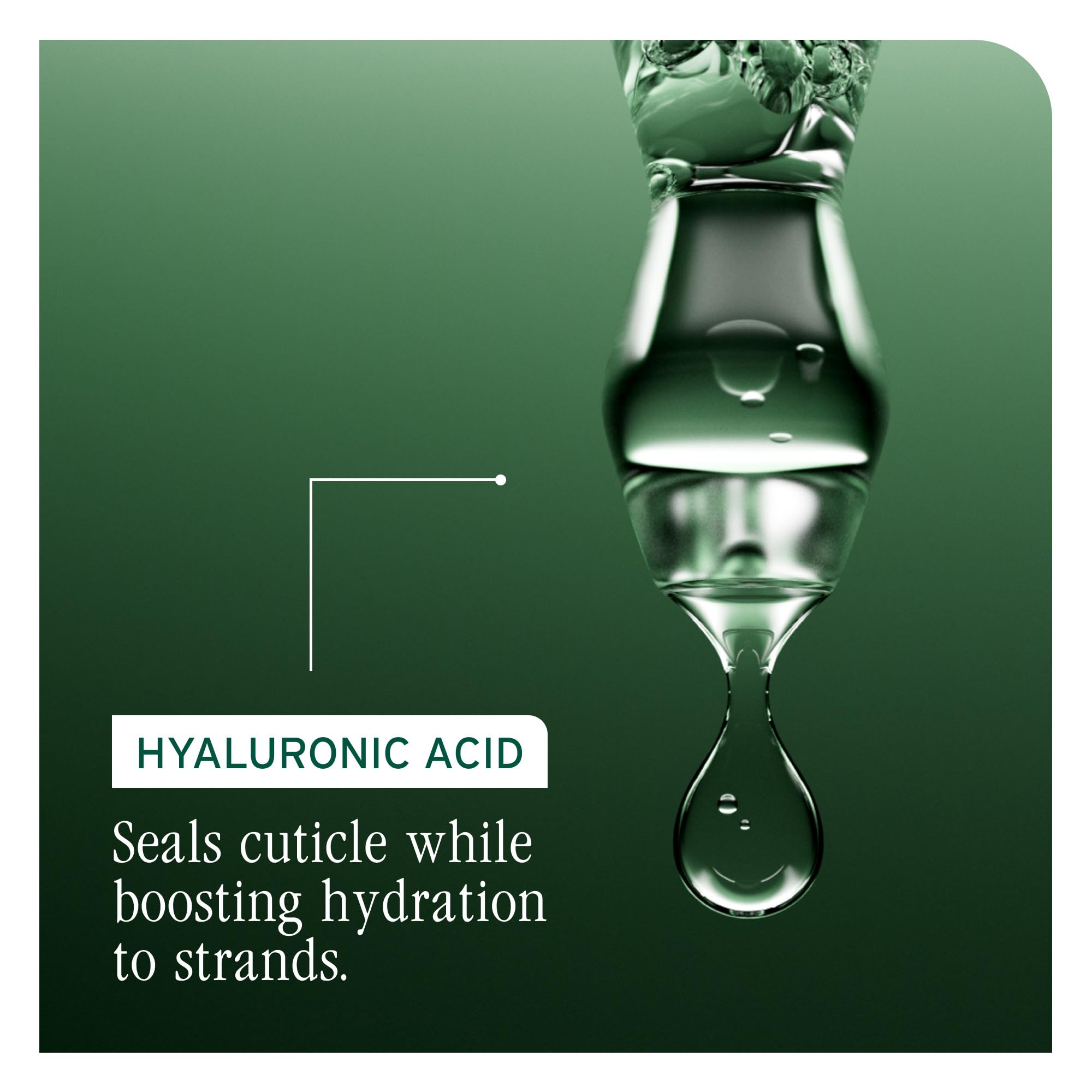 Biolage paired with Hydrasource conditioner showing complete moisture system
