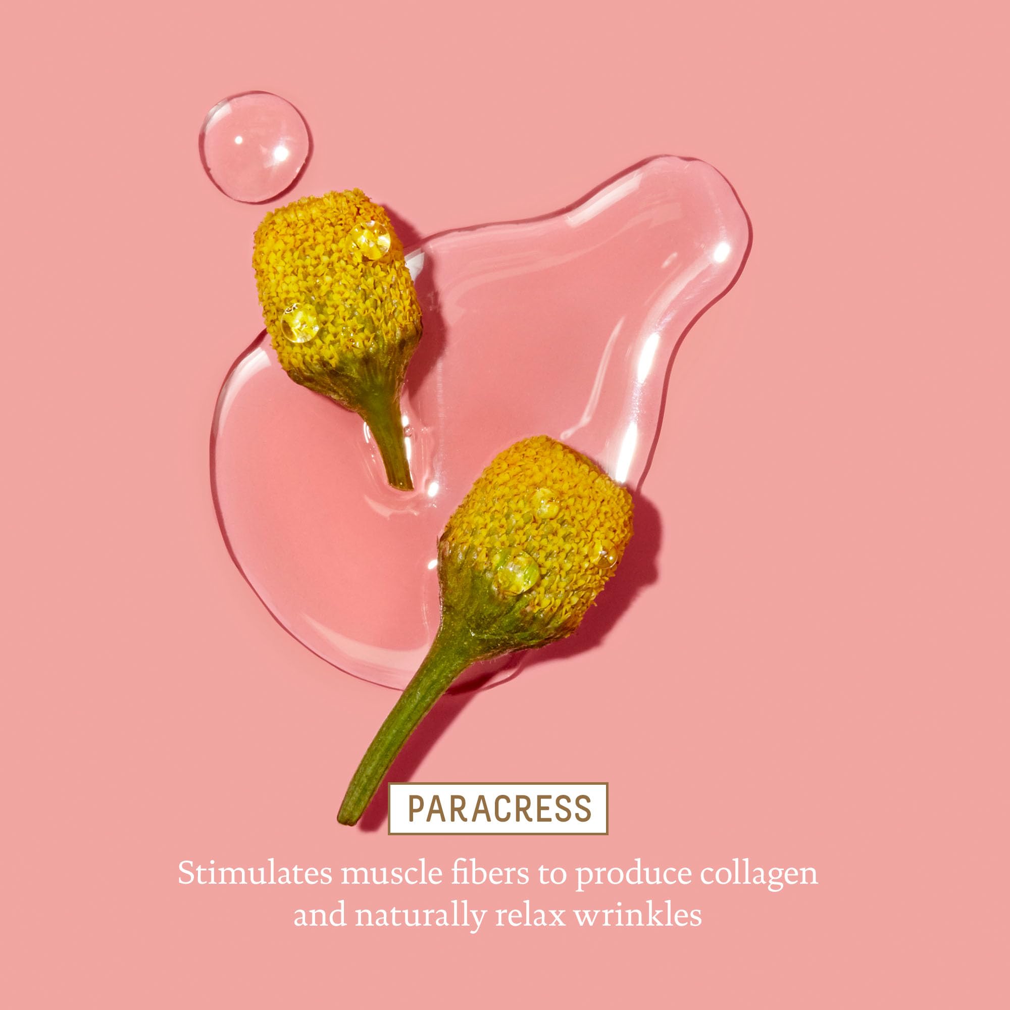 BIOSSANCE pink marine algae close-up representing firmness and line-smoothing benefit: improves texture