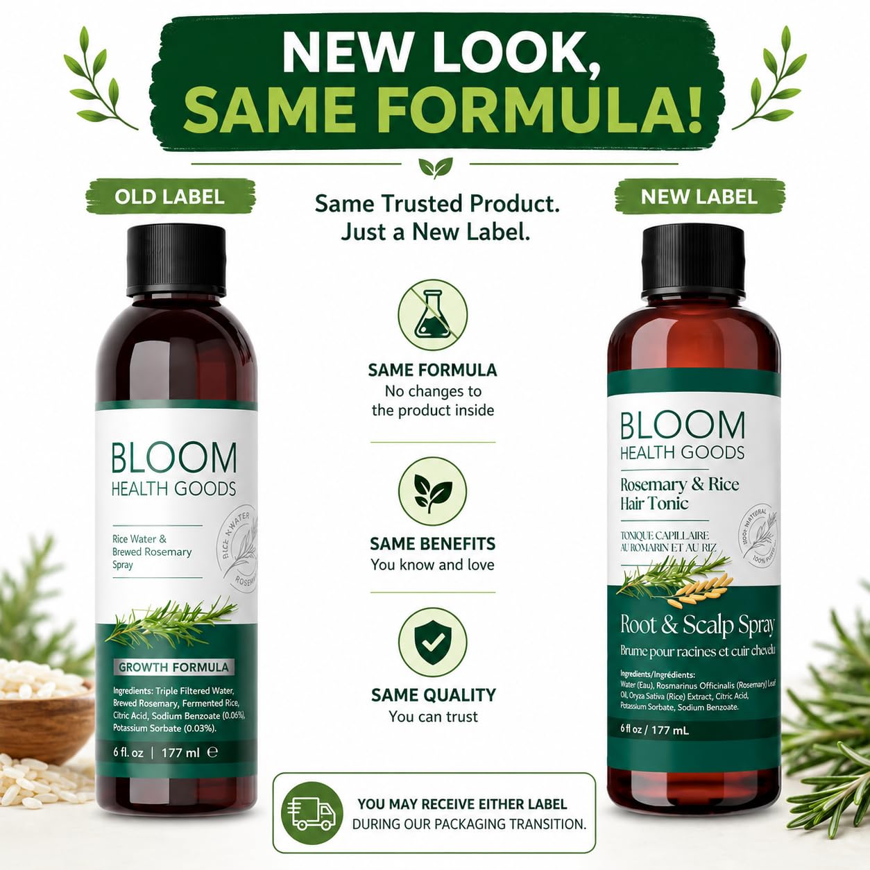 Bloom Health Goods close-up of fresh rosemary used in the hand-brewed infusion benefits freshness