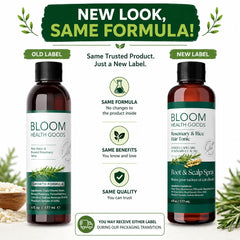 Bloom Health Goods close-up of fresh rosemary used in the hand-brewed infusion benefits freshness