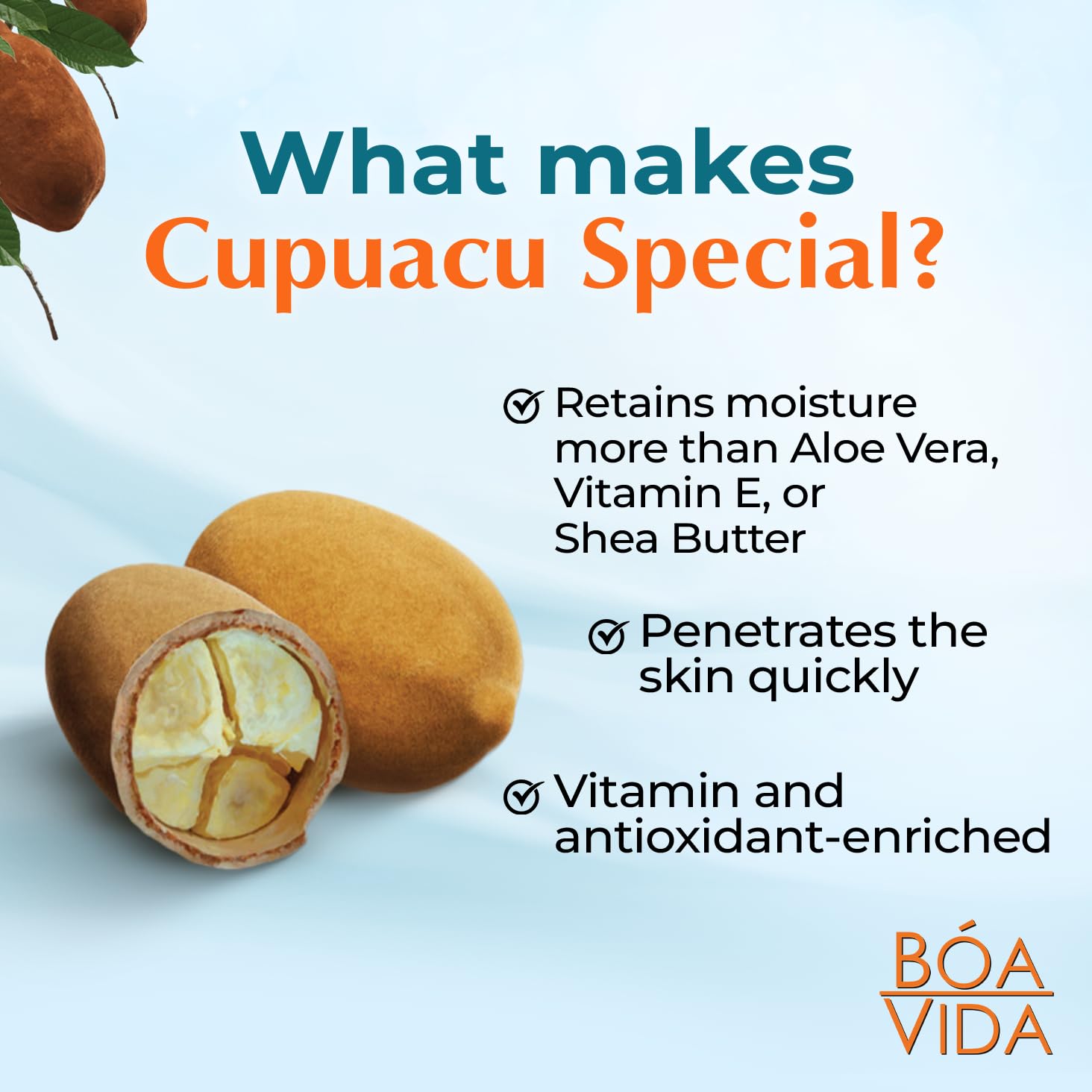 Bóa Vida persimmon ingredient close-up highlighting odor-reducing benefit