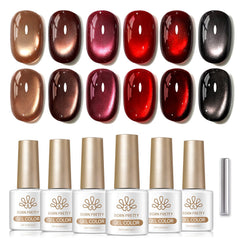 Born Pretty front packaging showing six retro wine brown shades and included magnet, great starter kit