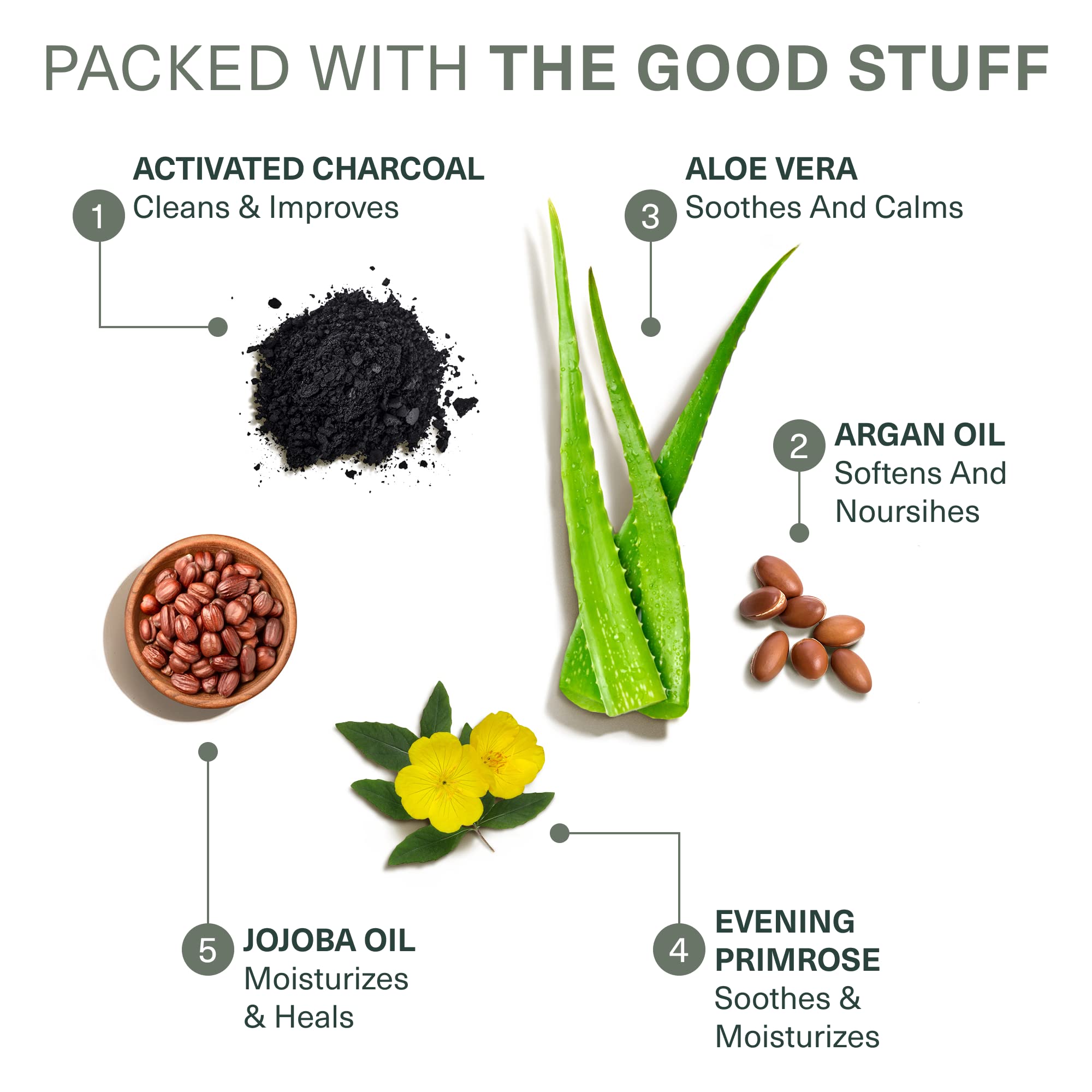 Botanic Tree ingredients display with charcoal and acids for clearer pores