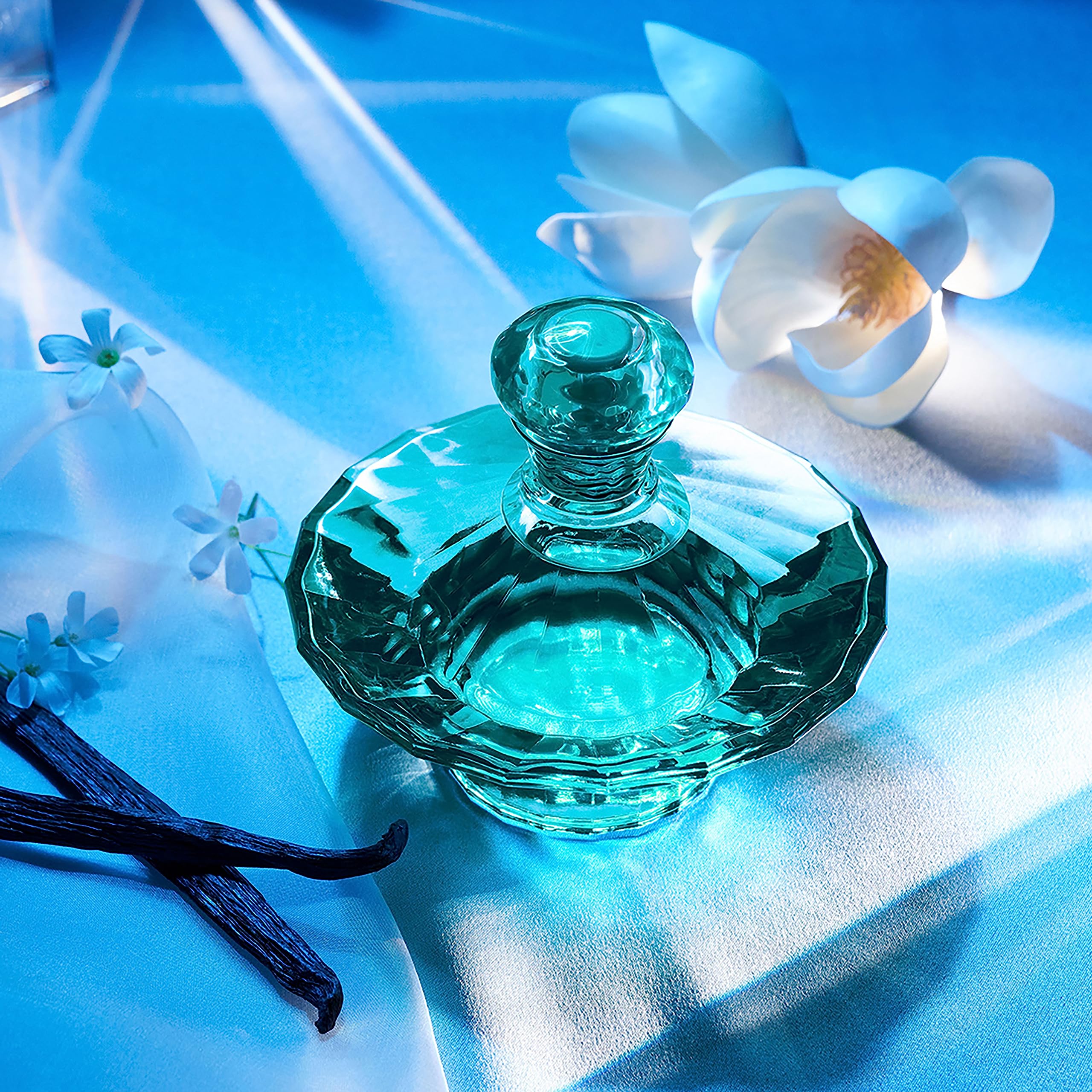Flatlay of magnolia, jasmine, and vanilla with Britney Spears bottle illustrating ingredient inspiration benefit