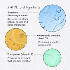 burnd squalane and Sacha Inchi oil ingredients staged to highlight natural actives