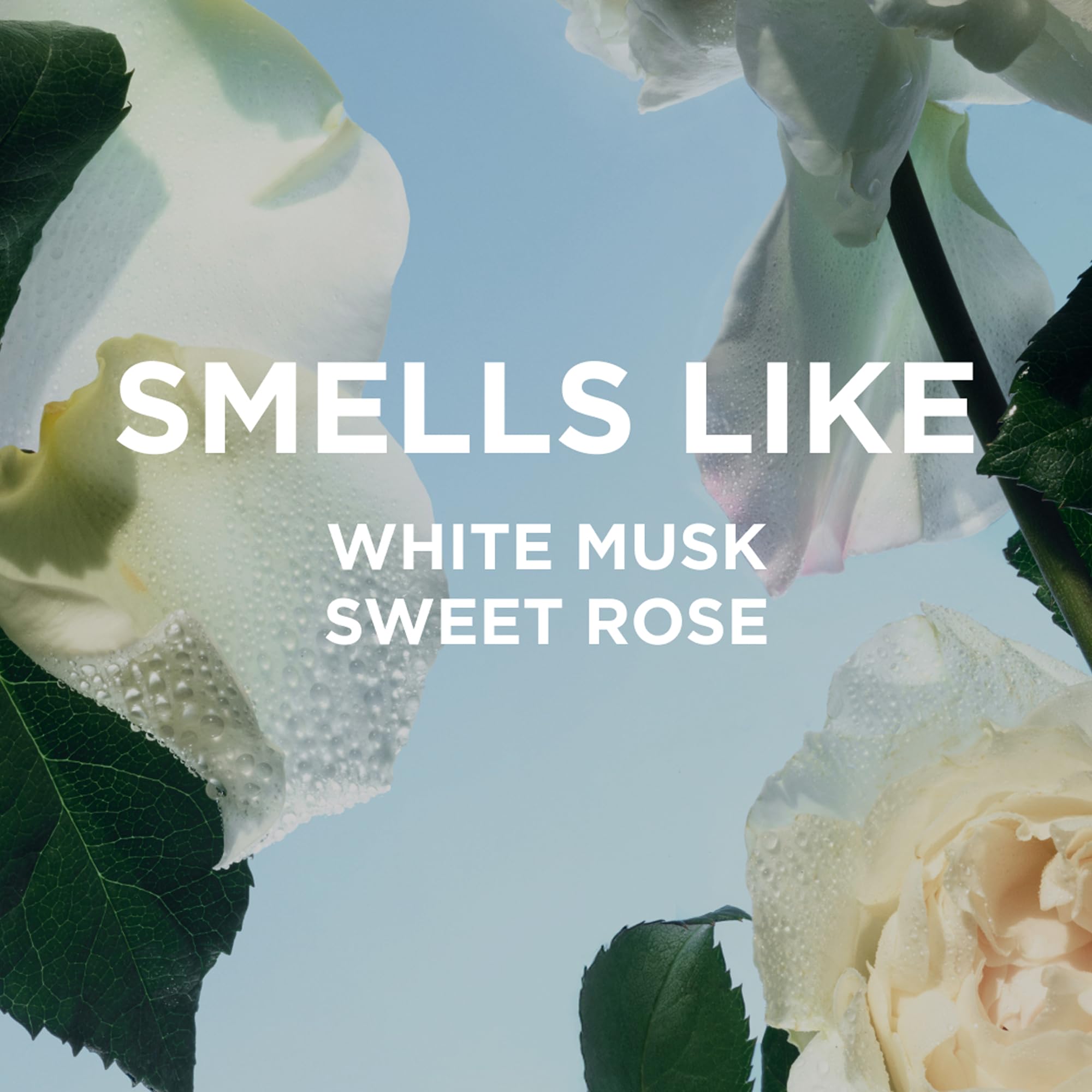 By Rosie Jane perfume oil texture on skin close-up showing smooth absorption benefit