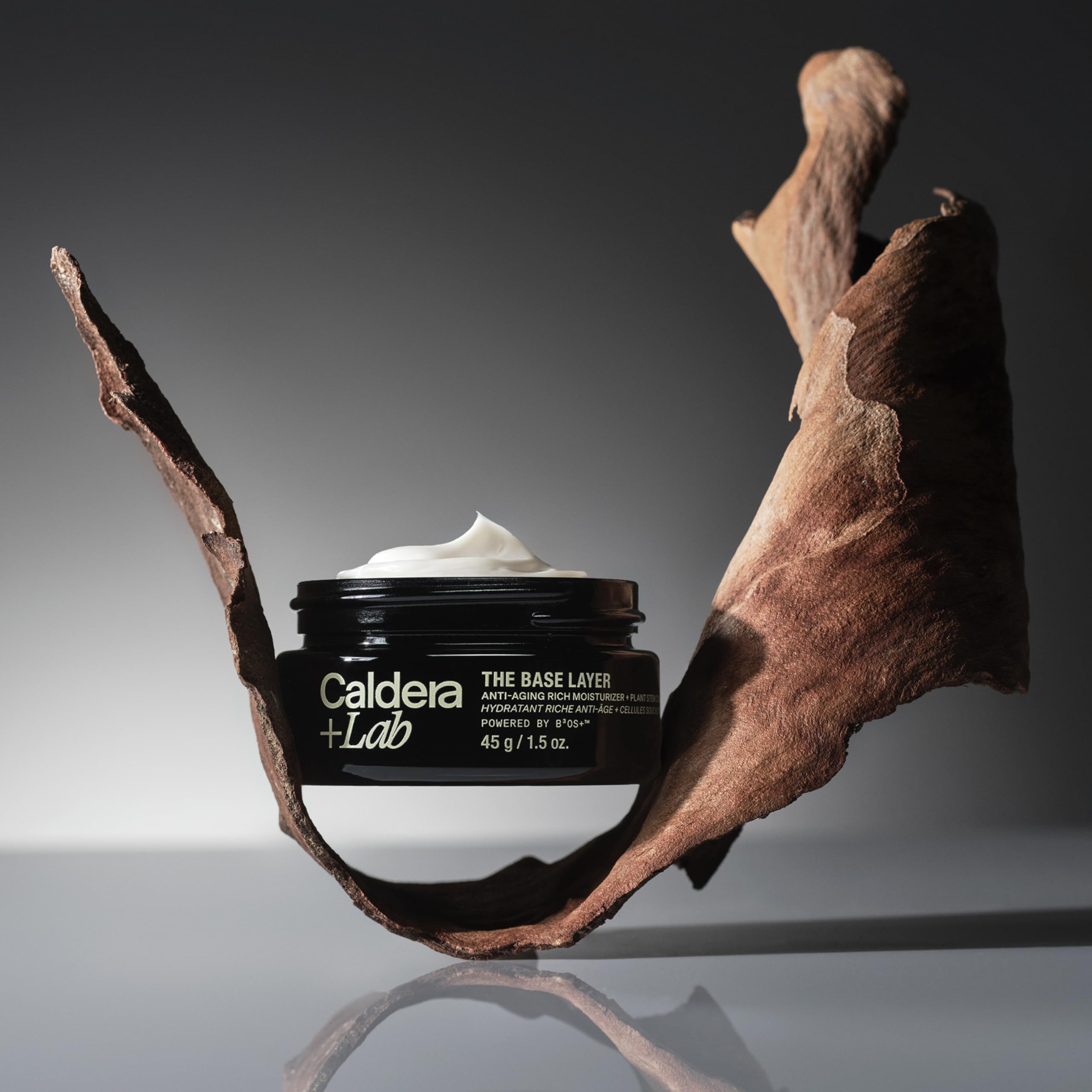 Caldera + Lab with botanicals flatlay conveying plant-based ingredients