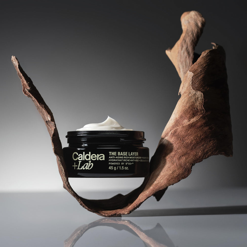Caldera + Lab with botanicals flatlay conveying plant-based ingredients