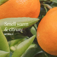 California Naturals lotion being pumped to demonstrate fast-absorbing, non-greasy texture