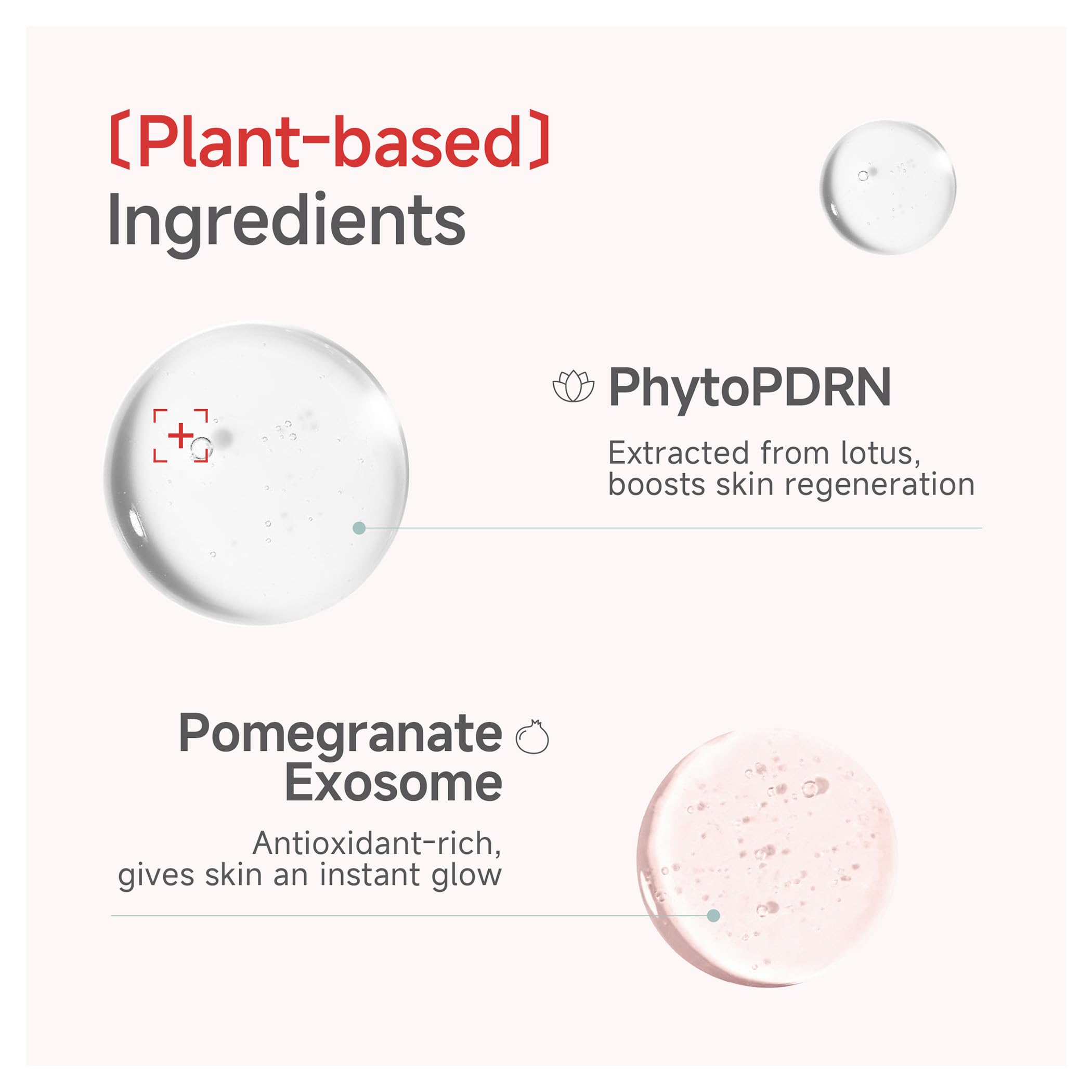 CANDORLOV lotus and pomegranate ingredients staged to show antioxidant support